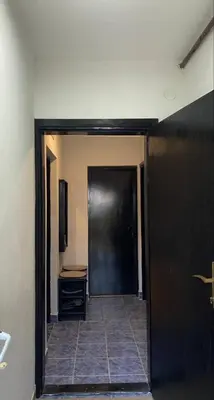 a hallway with a black door in a room at Cozy House Belgrade in Kalugjerica