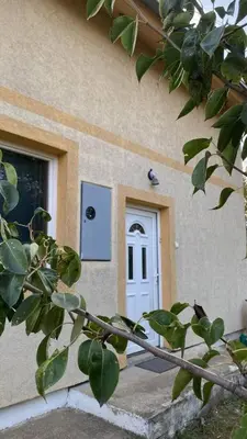 a building with a white door with a bird on it at Cozy House Belgrade in Kalugjerica