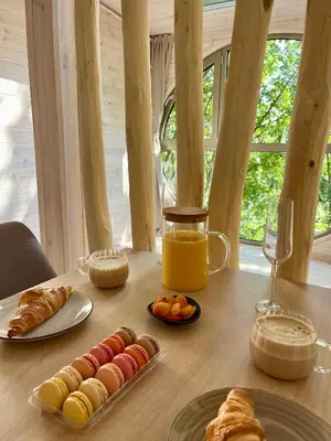 a table with pastries and a glass of orange juice at Furo Treehouse in Barajevo