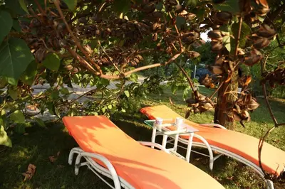 two chairs and a table under a tree at ART HOUSE Kosmaj 1 in Sopot