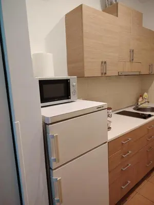 a kitchen with a white refrigerator and a microwave at Apartment 20 in Belgrade