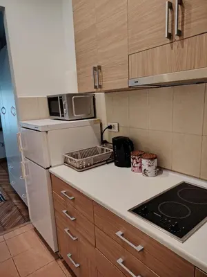 a kitchen with a white refrigerator and a stove at Apartment 20 in Belgrade