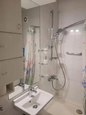 a bathroom with a sink and a shower at ML Apartman in Belgrade
