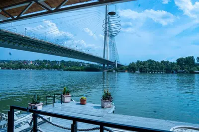 a bridge over a river with potted plants on a dock at Unique River Houseboat Stay in Železnička Stanica Senjak