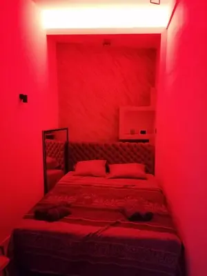 Gallery image of LuxSTAR in Belgrade