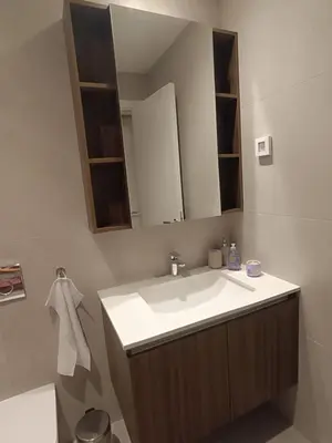 a bathroom with a sink and a mirror at The Queen at Parkside in Belgrade