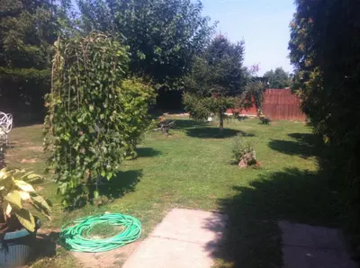 a garden with a green hose laying on the grass at Santa Maria Apartment in Donji Kovilj