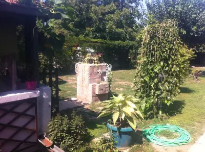 a garden with a garden hose and a plant at Santa Maria Apartment in Donji Kovilj