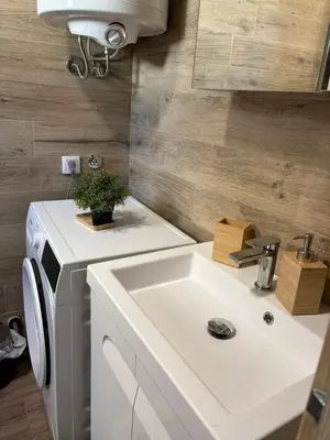 a bathroom with a sink and a white sink at Beli Bor in Vračar (historical)