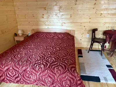 a bedroom with a bed in a wooden cabin at Beli Bor in Vračar (historical)