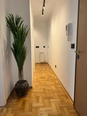 a hallway with a potted plant in a room at Fairy tale apartment 9 in Voždovac