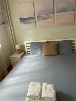 a bedroom with a large bed with two towels on it at Belgrade Blue Oasis in Belgrade