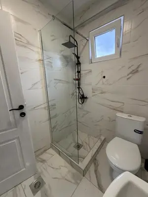 a bathroom with a shower and a toilet at Apartman na dan Pecinci in Pećinci