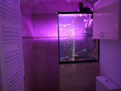 a bathroom with a fish tank in a purple room at NeNa Apartmani - Ruma in Ruma