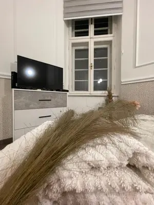 a bedroom with a tv and a bed with a pile of hair at Skadarlija Residence in Belgrade