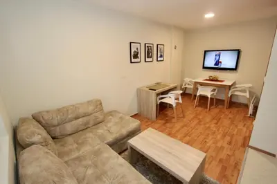 a living room with a couch and a table at Cozy apartments in Belgrade, Čukarica, Železnik, free parking and WiFi in Belgrade