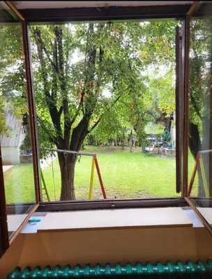 a window with a view of a tree at Udobni smestaj in Belgrade