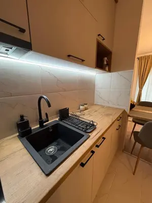 a kitchen with a sink and a stove at Fagus apartments in Arandjelovac