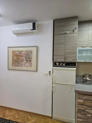 a kitchen with a refrigerator and a painting on the wall at Apartman Laki 56 in Kalugjerica