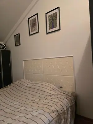 a bedroom with a bed with three pictures on the wall at Apartman Laki 56 in Kalugjerica