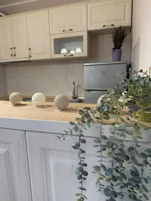 a kitchen with a counter with a plant on it at Kutak mira in Belgrade