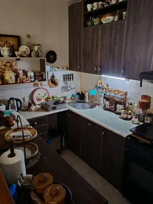 Gallery image of Lion-cozy apartment in Belgrade