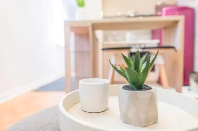 two white cups and a potted plant on a table at Central Harmony Apartments 2 in Belgrade