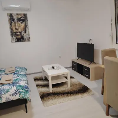a living room with a bed and a tv and a table at Elena Airport Apartments in Surčin