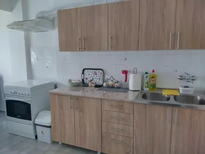 a kitchen with wooden cabinets and a sink and a stove at Aleksej in Irig