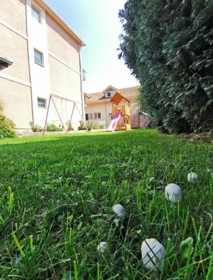 three balls in the grass in a yard at Vila Miona Apartments in Belgrade