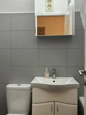 a bathroom with a sink and a toilet at Apt 1944 in Belgrade