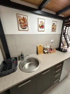 a bathroom counter with a sink in a room at La Hitana in Lazarevac