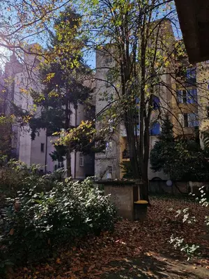 a group of buildings with trees and leaves on the ground at Gallery House in Belgrade