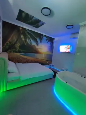 a bedroom with a bed and a tub and a tv at Sunset in Pančevo