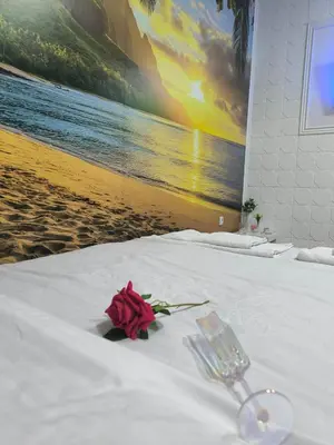 a rose on a table with a picture of the beach at Sunset in Pančevo