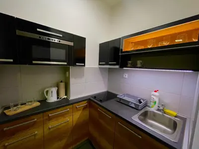 a small kitchen with a sink and a microwave at Skadarlija Nest in Belgrade