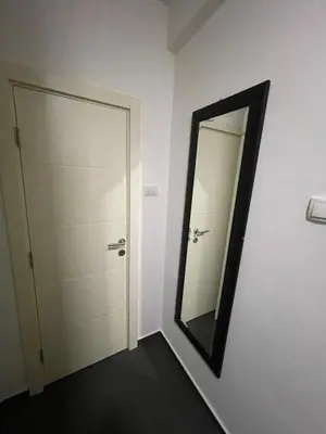 a mirror on a wall next to a door at Skadarlija Nest in Belgrade