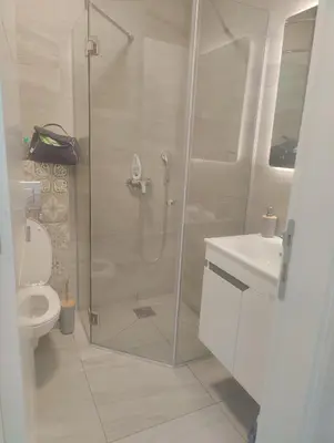 a bathroom with a shower and a toilet and a sink at Apartman Beograd in Belgrade