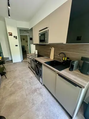 a kitchen with a sink and a washing machine at WhiteCity Suite in Belgrade