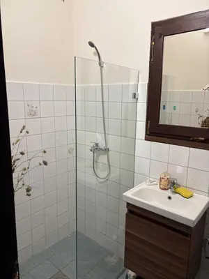 a bathroom with a shower and a sink at Vila Dinara in Krčedin