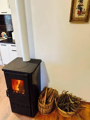 a black stove sitting on top of a wooden floor at Vila Dinara in Krčedin