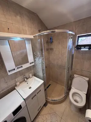 a bathroom with a shower and a sink and a toilet at Pejton Apartment in Belgrade