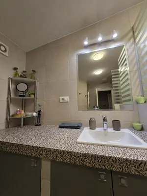 a bathroom with a sink and a large mirror at Crown Apartment in Belgrade