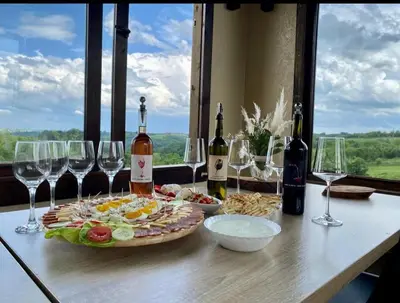 Gallery image of Vino&Vista in Ripanj