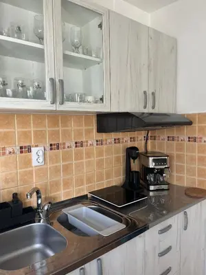 a kitchen counter with a sink and a coffee maker at Guesthouse Vladimir & Ana in Pančevo