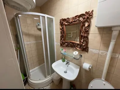 a bathroom with a sink and a shower and a mirror at Guesthouse Vladimir & Ana in Pančevo
