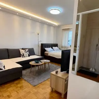 Bright Elegant Cozy Apartment - New Belgrade