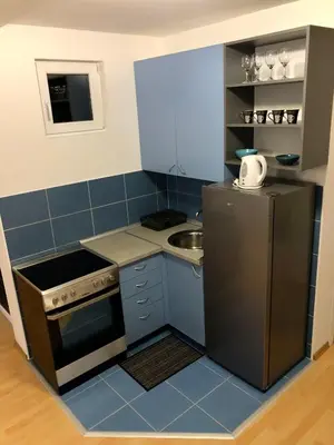 a small kitchen with a refrigerator and a sink at Apartman Lav in Bele Vode