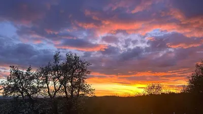 a sunset with trees and clouds in the sky at Kosmaj-Suncani Breg