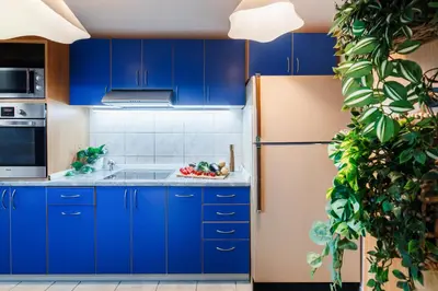 a kitchen with blue cabinets and a plant at Foosball Frontyard Retreat Old Town in Belgrade